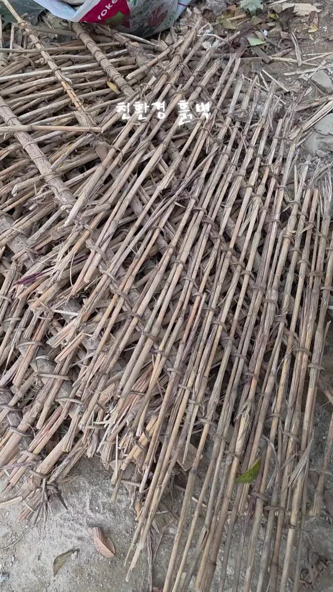 @유튜브 "정선사람들" 안용현