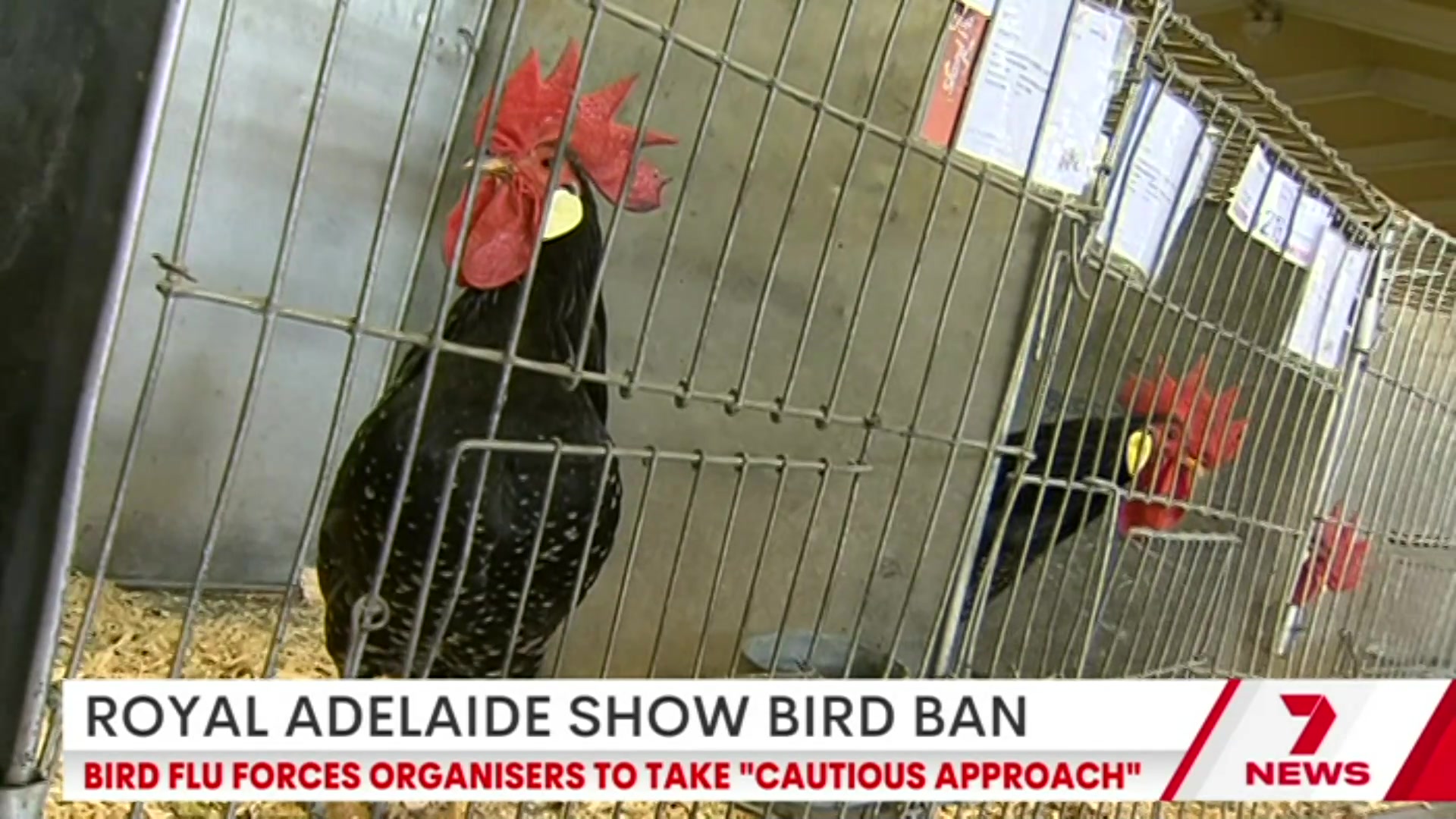 @7NEWSAdelaide