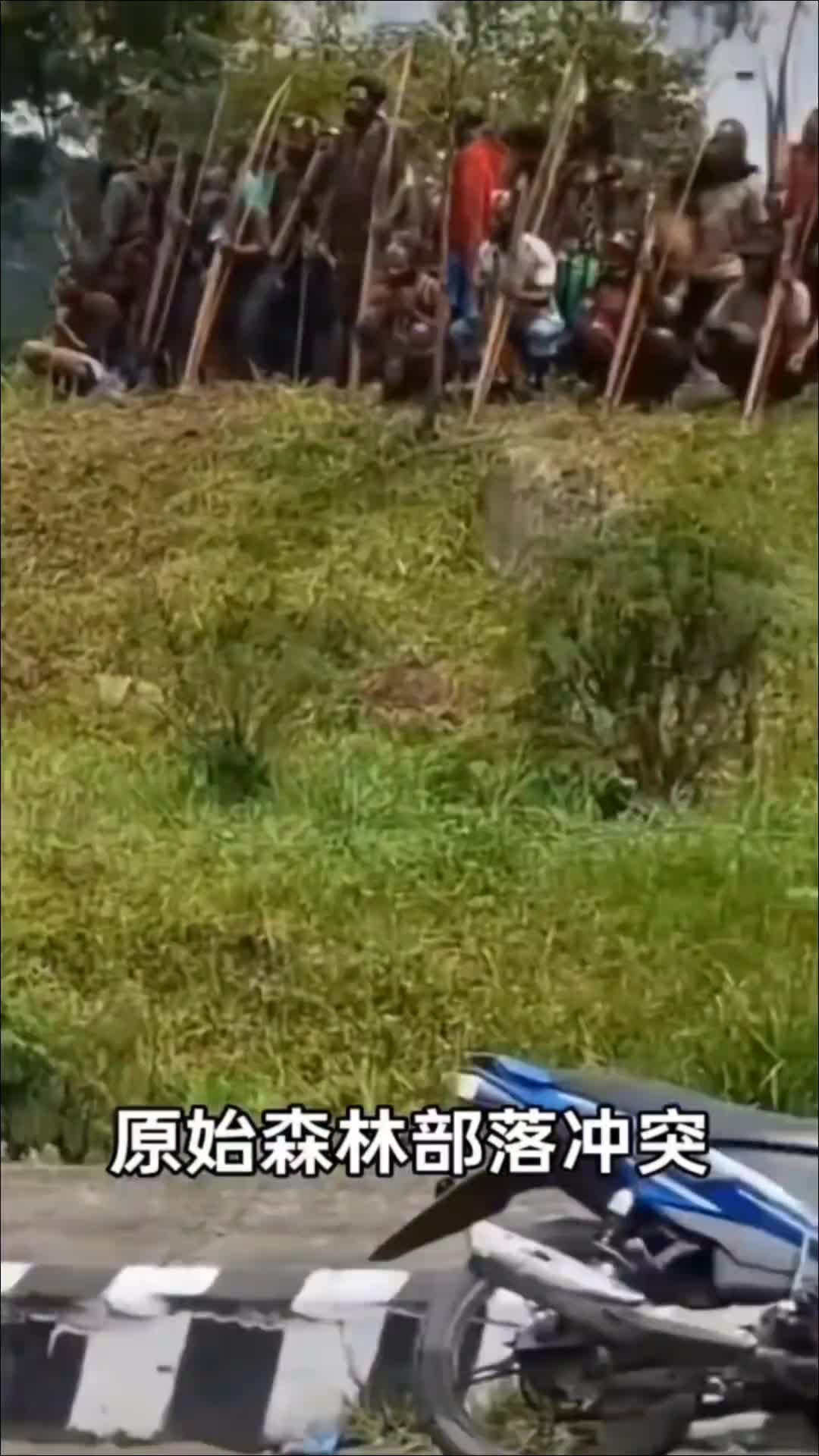 @Wang Gary