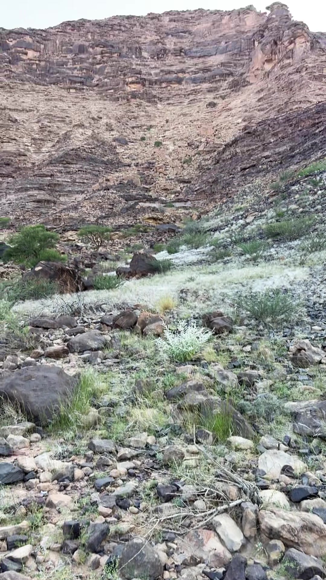@رِجْم 📸