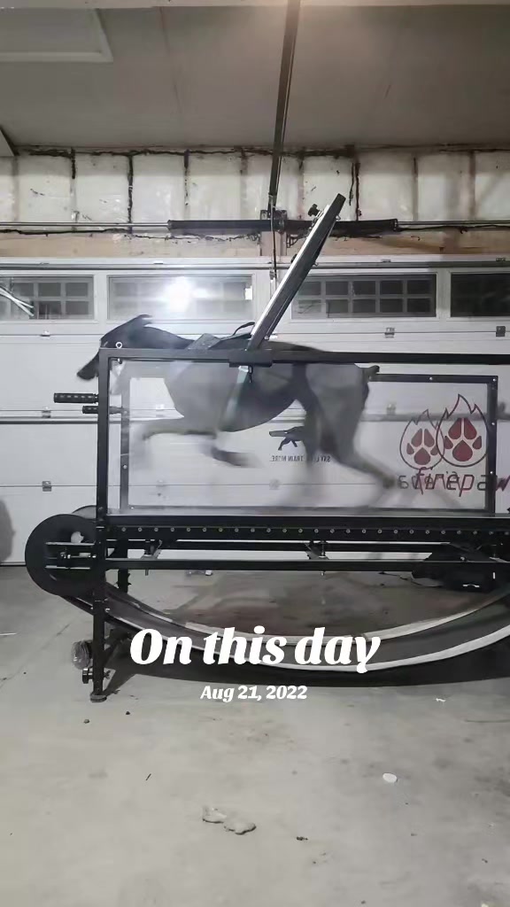 @RaisingHell.Hounds🇨🇦