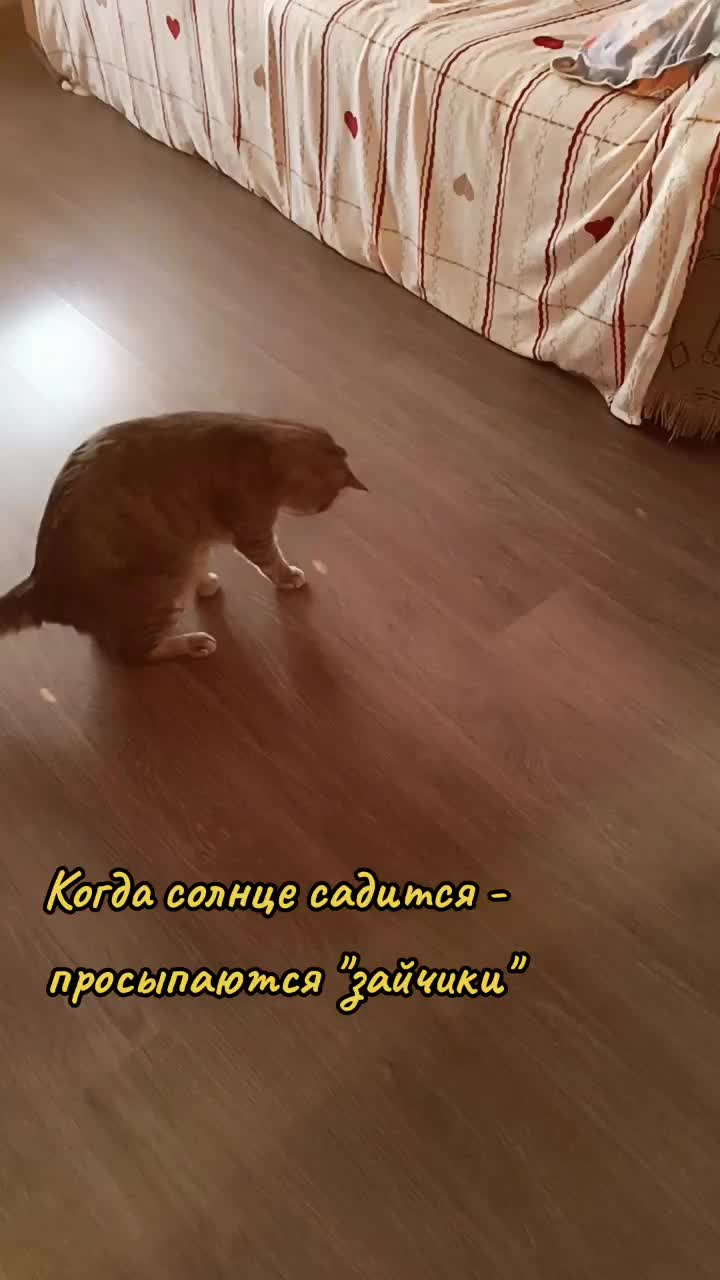 @user2278096979685
