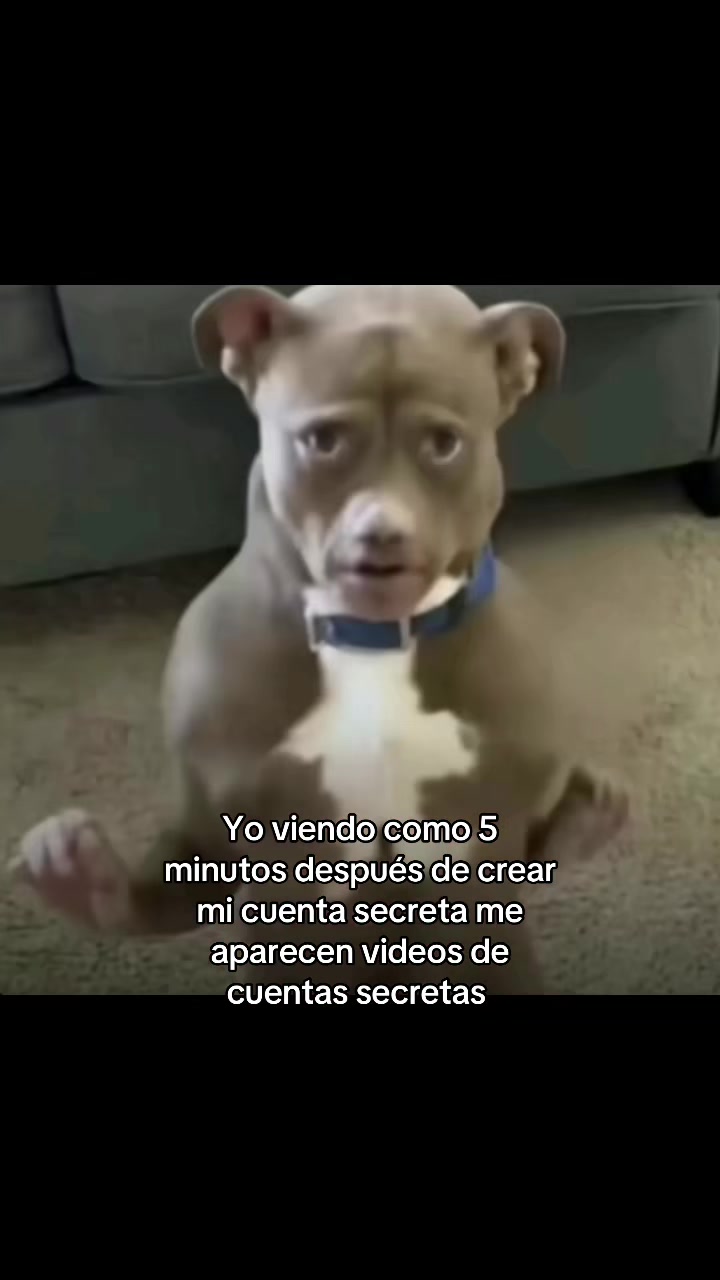 @vibexxd_0