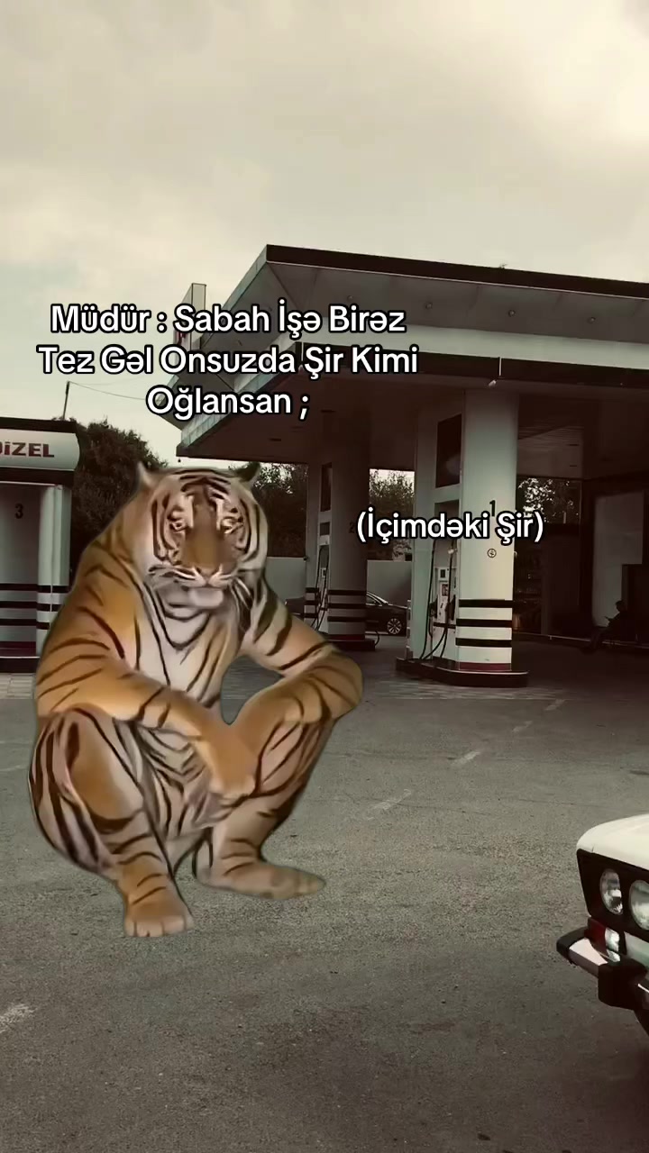@𓄂E K R 🤍