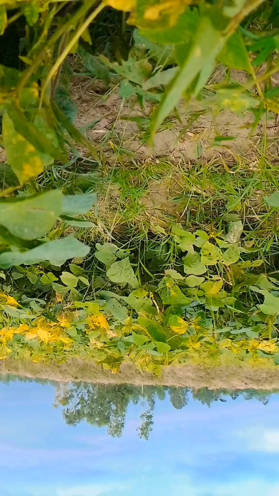 @Ꭱᴀᴊ֟፝ᴇꜱʜ~Jᴀɪsᴡᴀʟ
