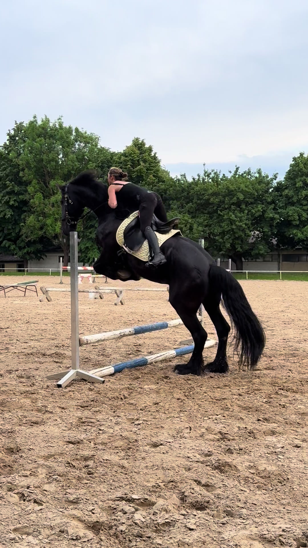 @Horses