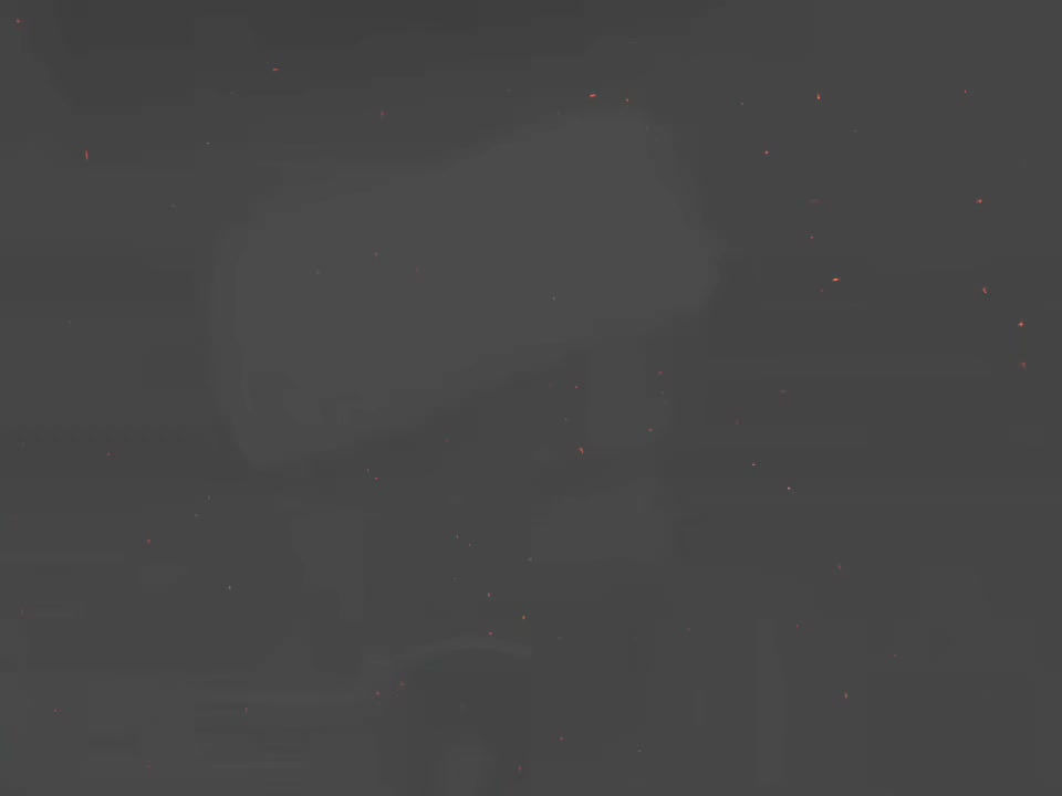 @🗽🎖️ 𝐃 𝐀 𝐍 𝐄 𝐀 𝐋