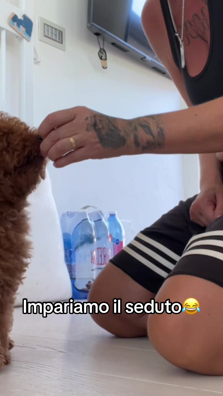 @Kimi❤️hope🫂🌈🤍(il lupo)