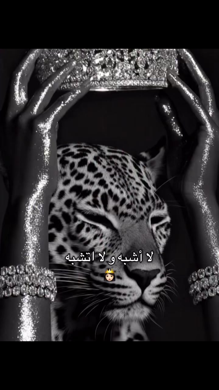 @โ๏ธ ๐๐ต๐ผ๐ โ๏ธ