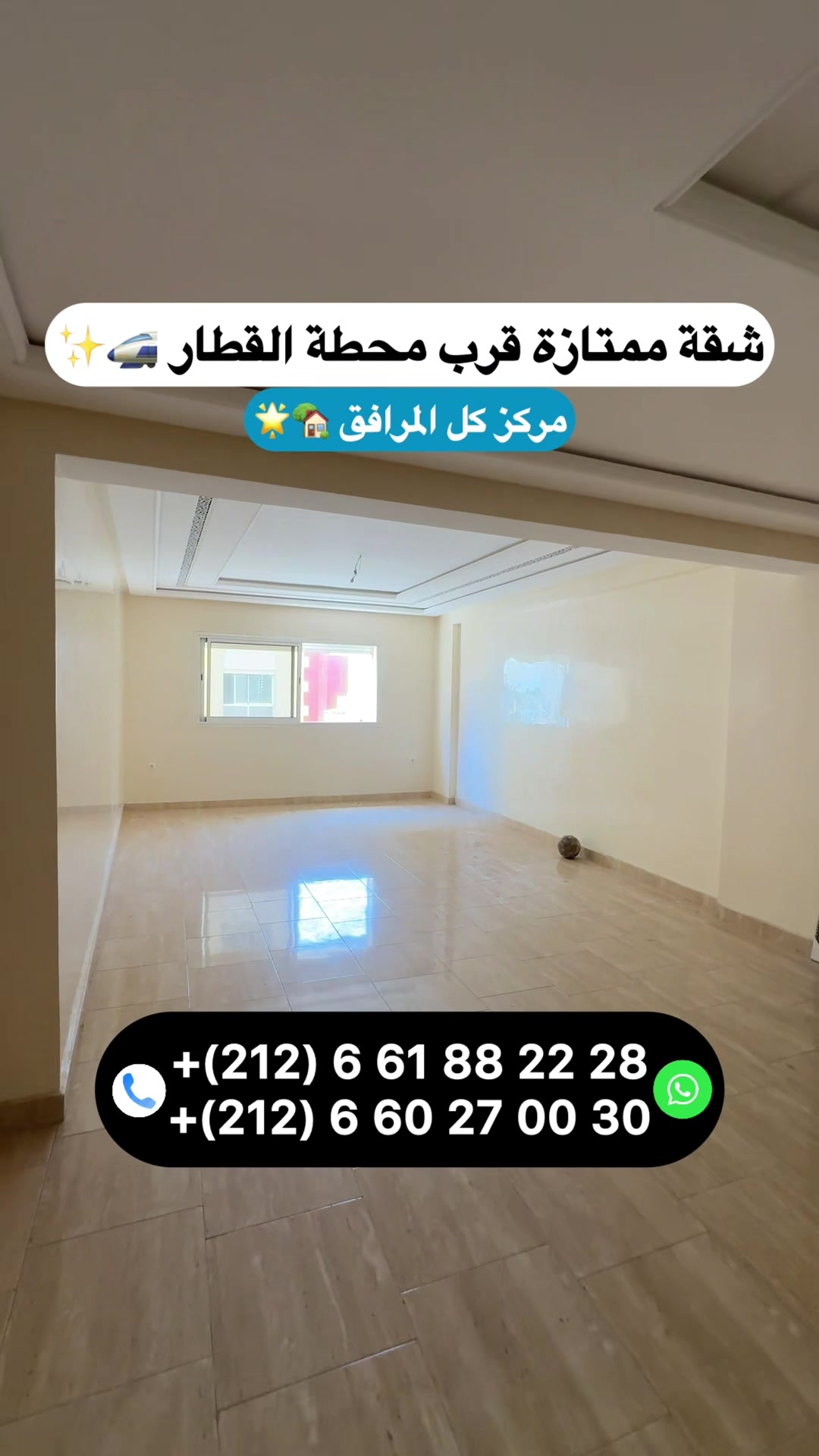 @Zakaria Haddad 🇲🇦🇵🇸