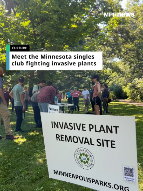 @MPR News