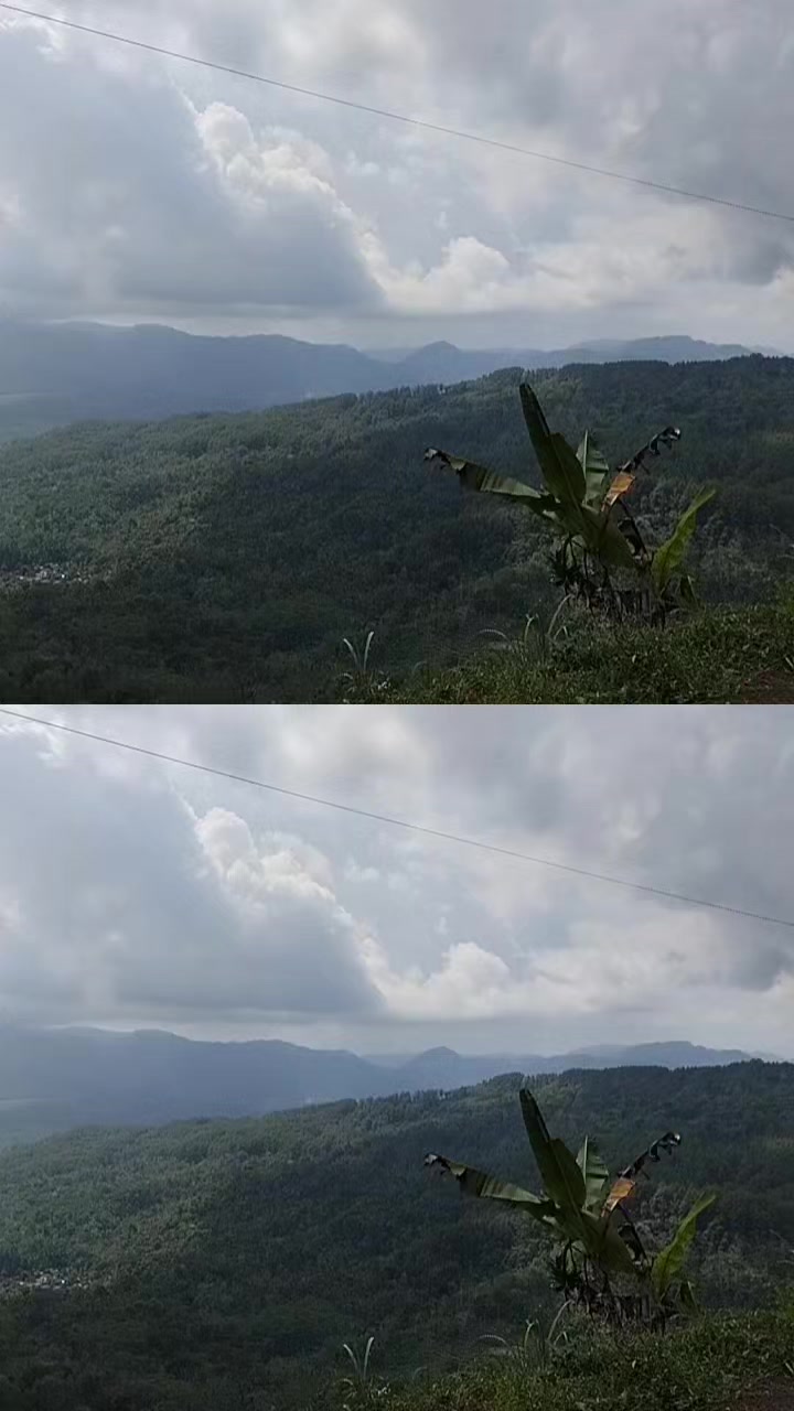 @pemudagangsempit