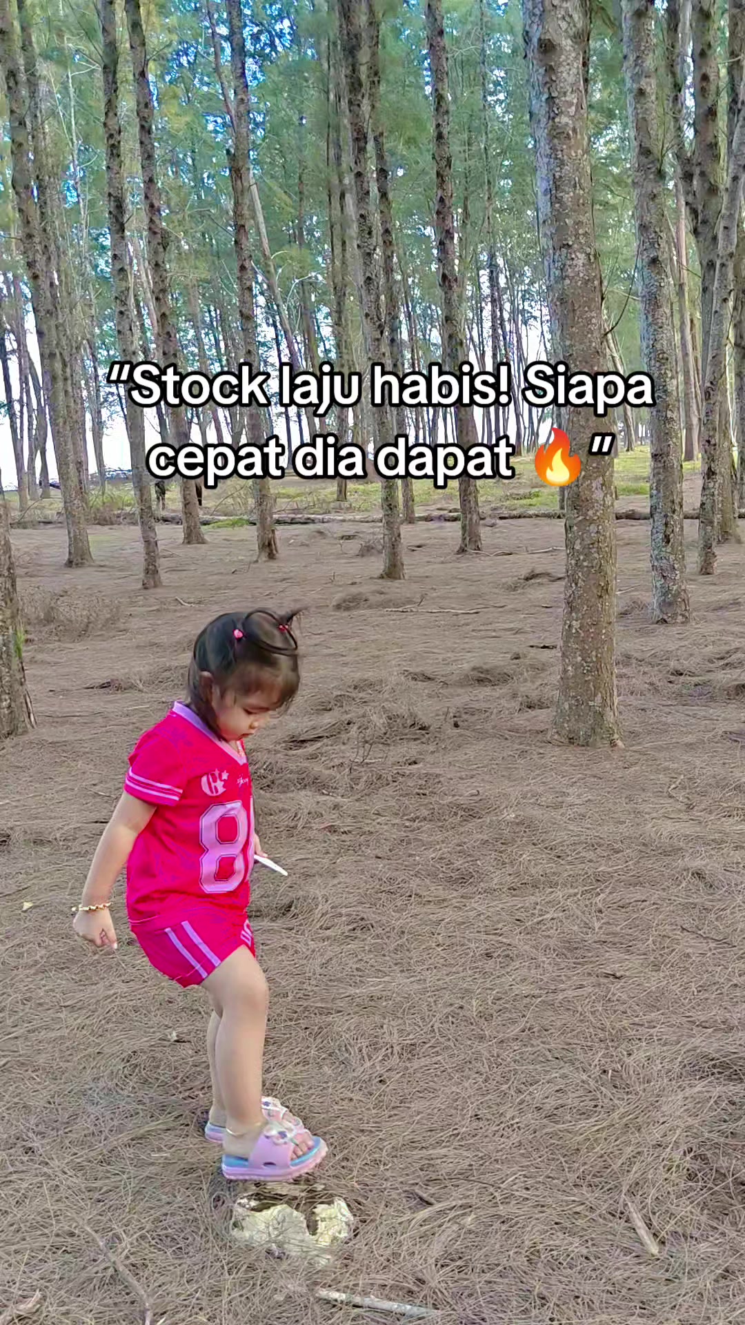 @S.H.L