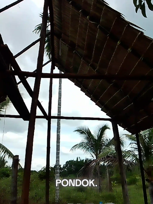 @Tukang Kebun