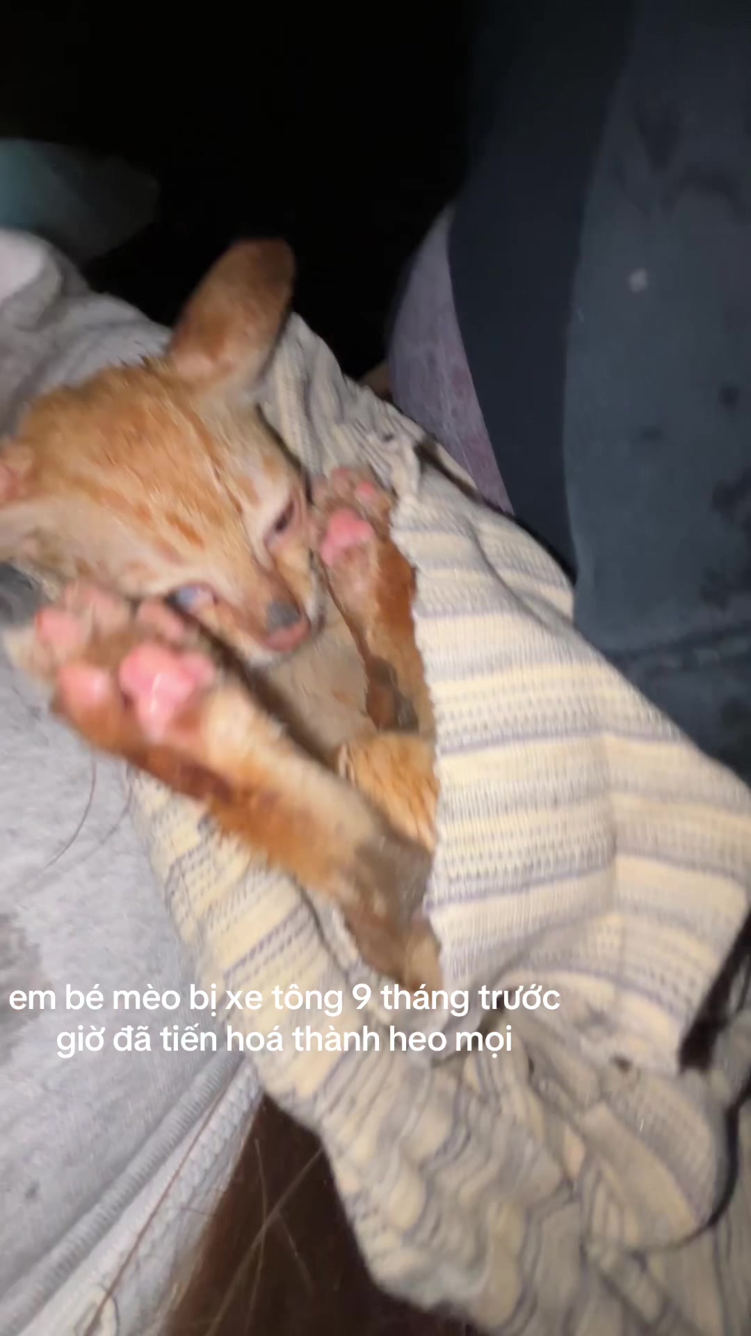 @Ng&ocirc;i Sao B&eacute; Nhỏ Lấp L&aacute;nh ✨