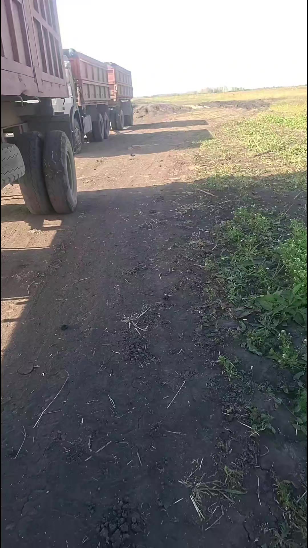 @Кирилл