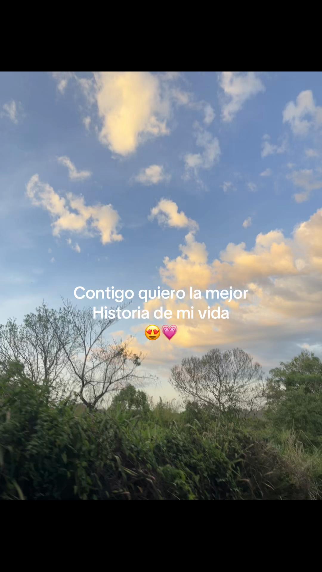 @_music_0384