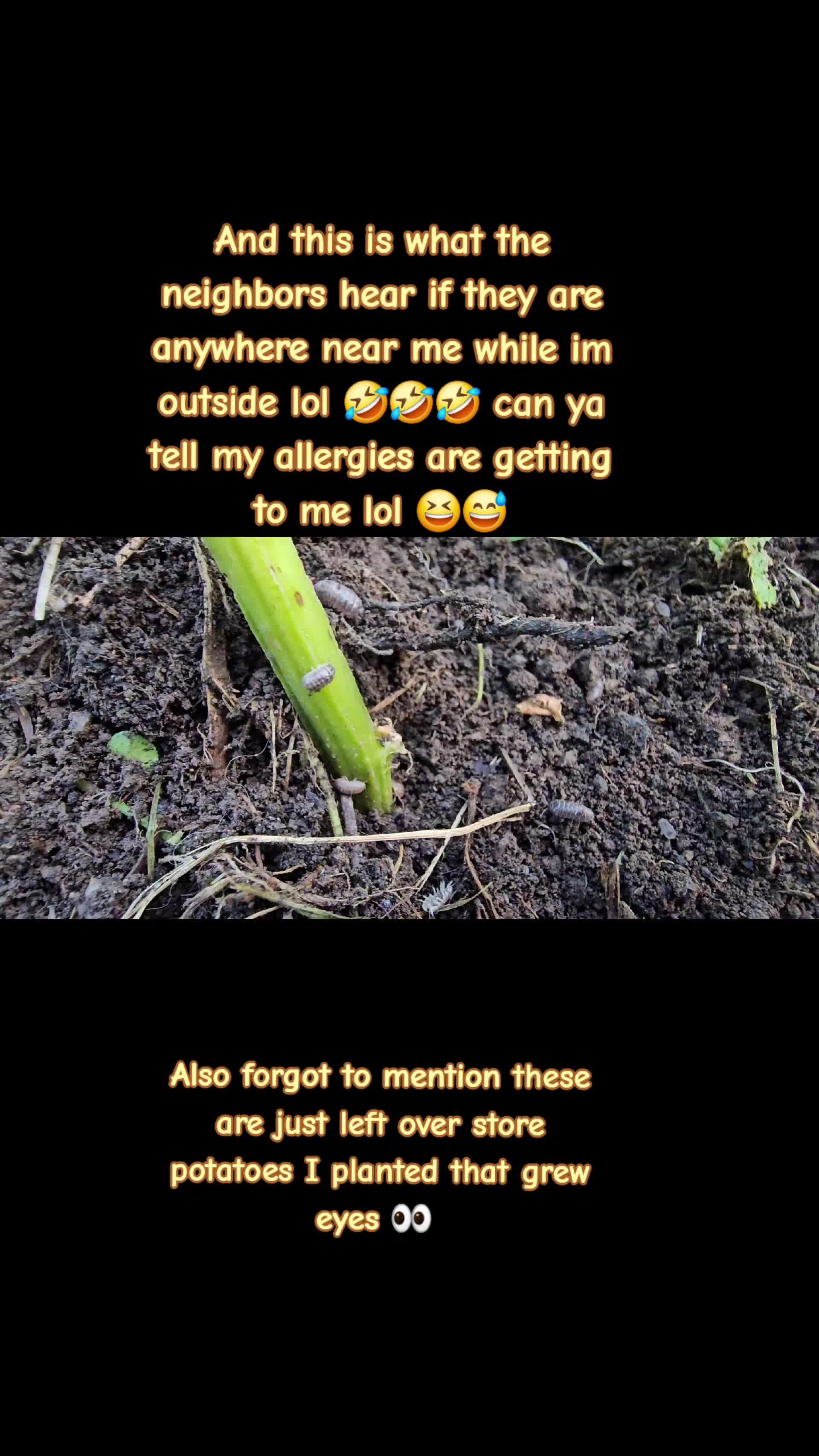 @AppalachianMntCrone