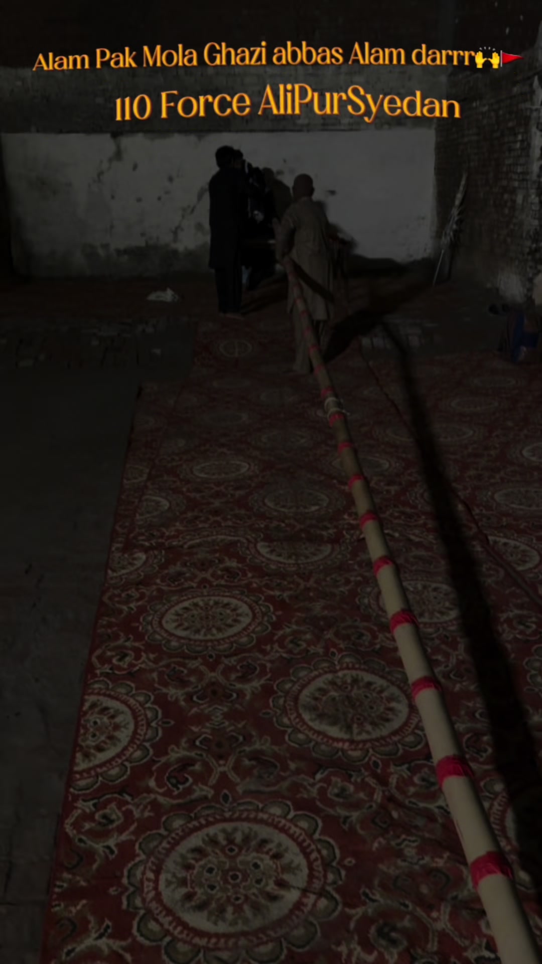 @syedaliabbashah110