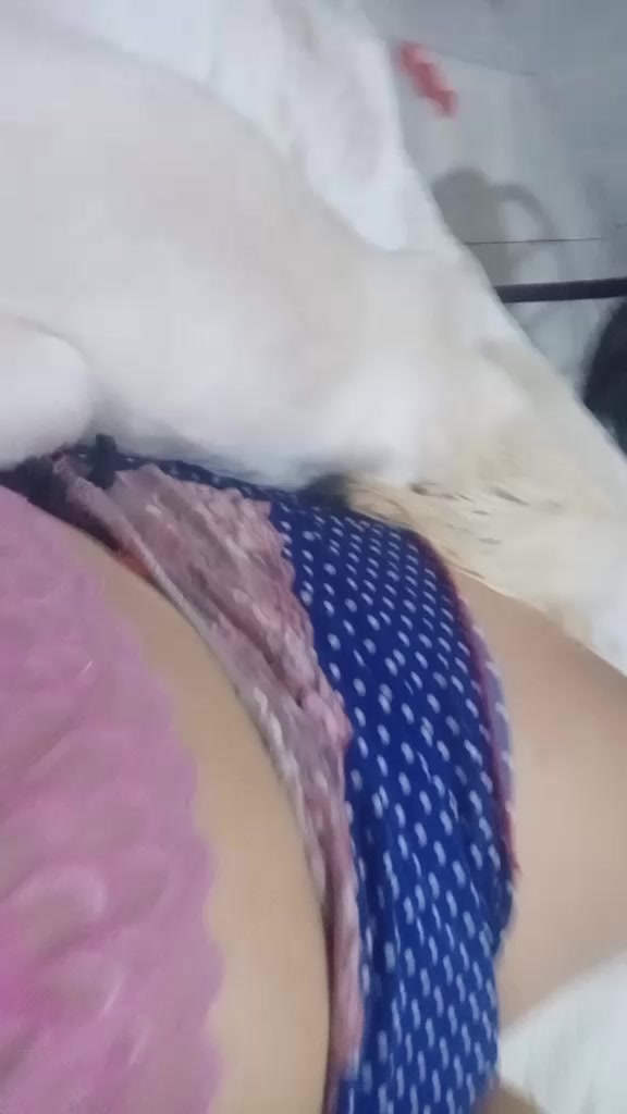 @user56530510106