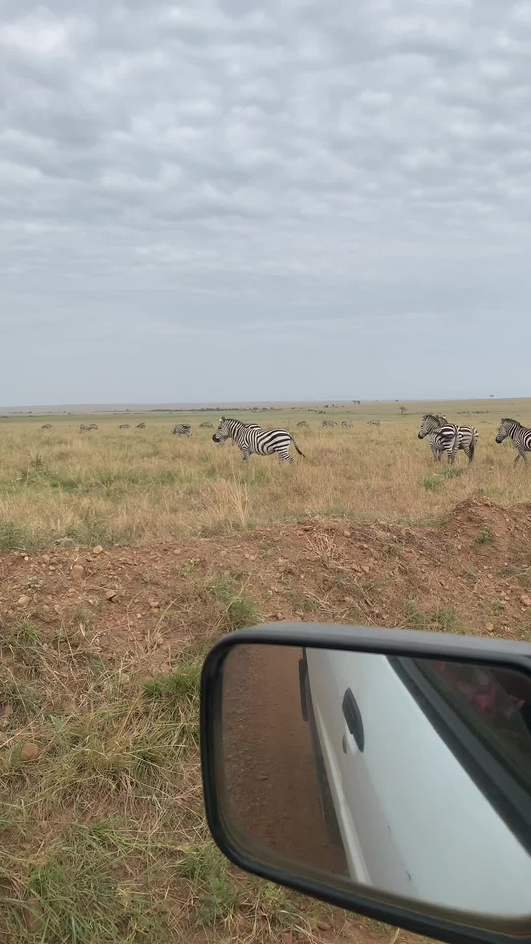 @Zangada Africa