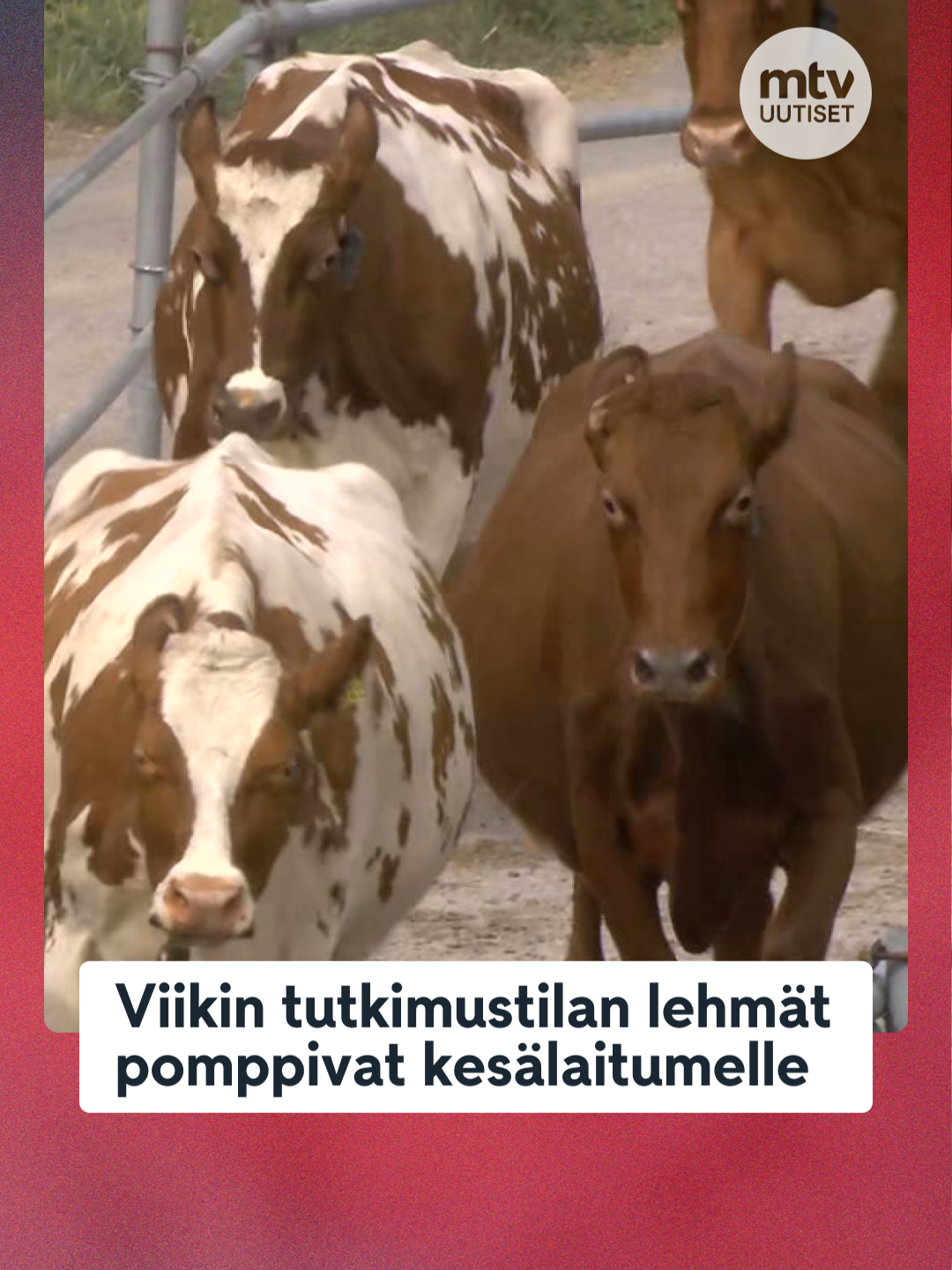 @MTV Uutiset