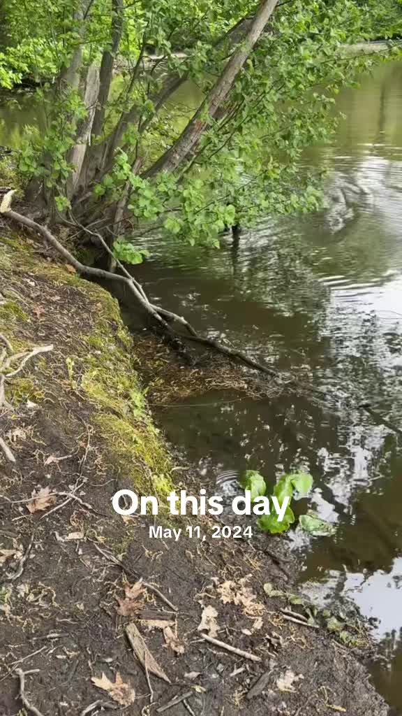 @fb1fishing