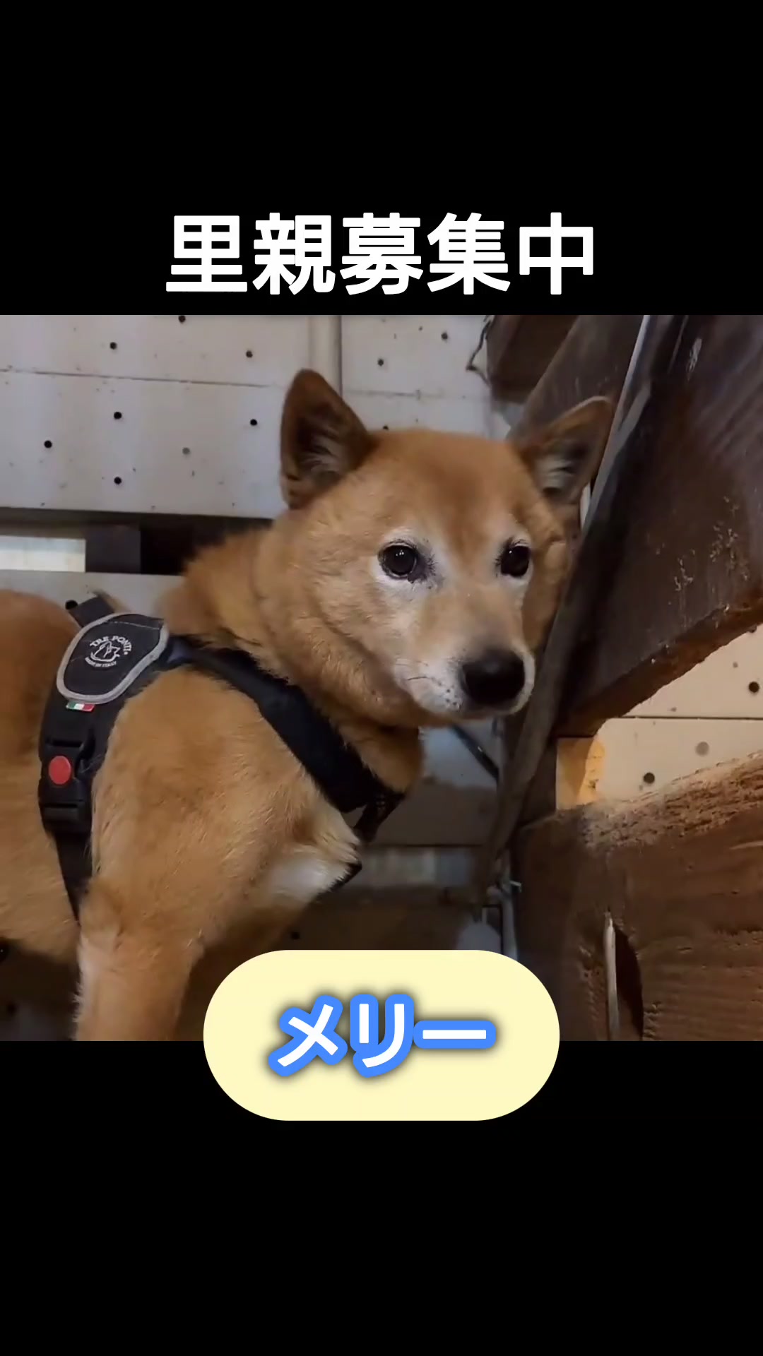 @まあくんハウス
