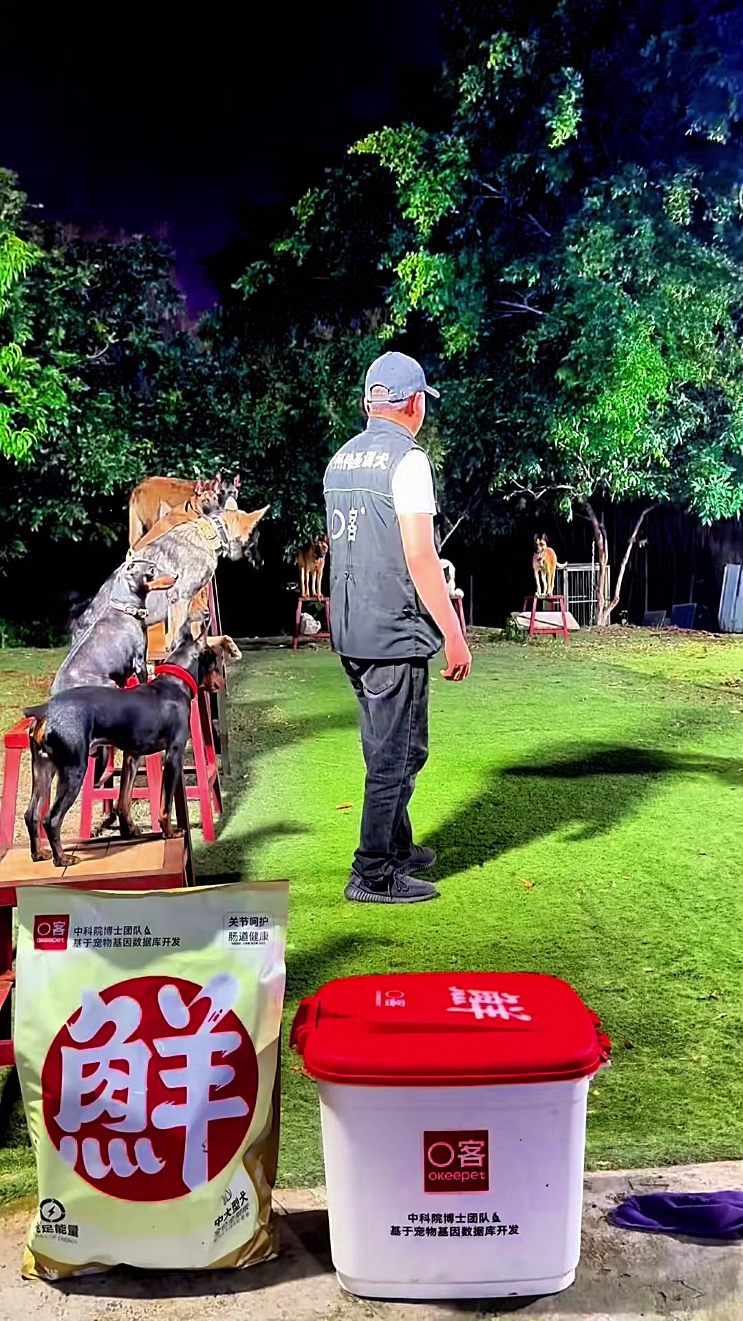 @Dog training ®