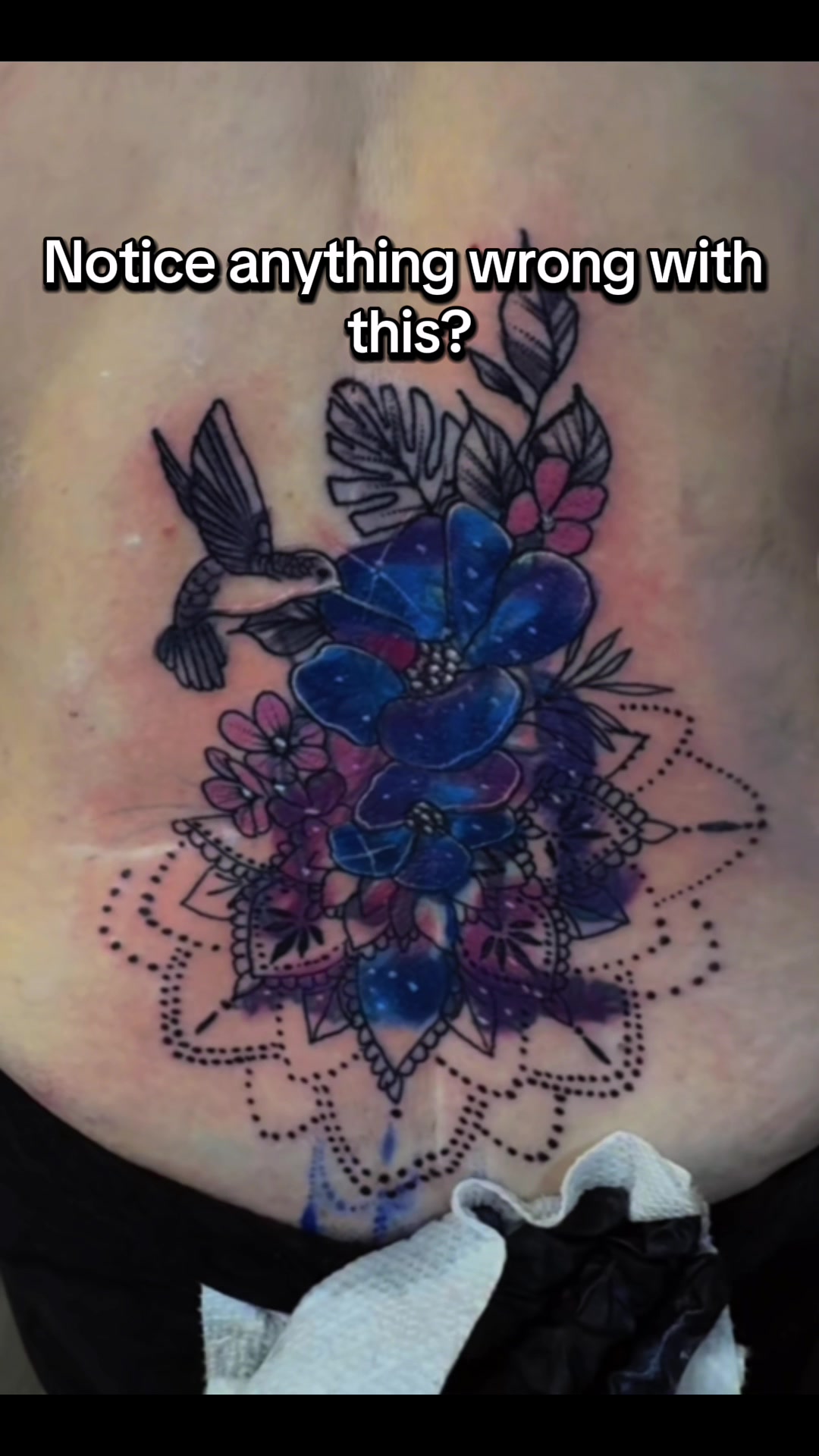 @nicofreakoart 🧚🏼