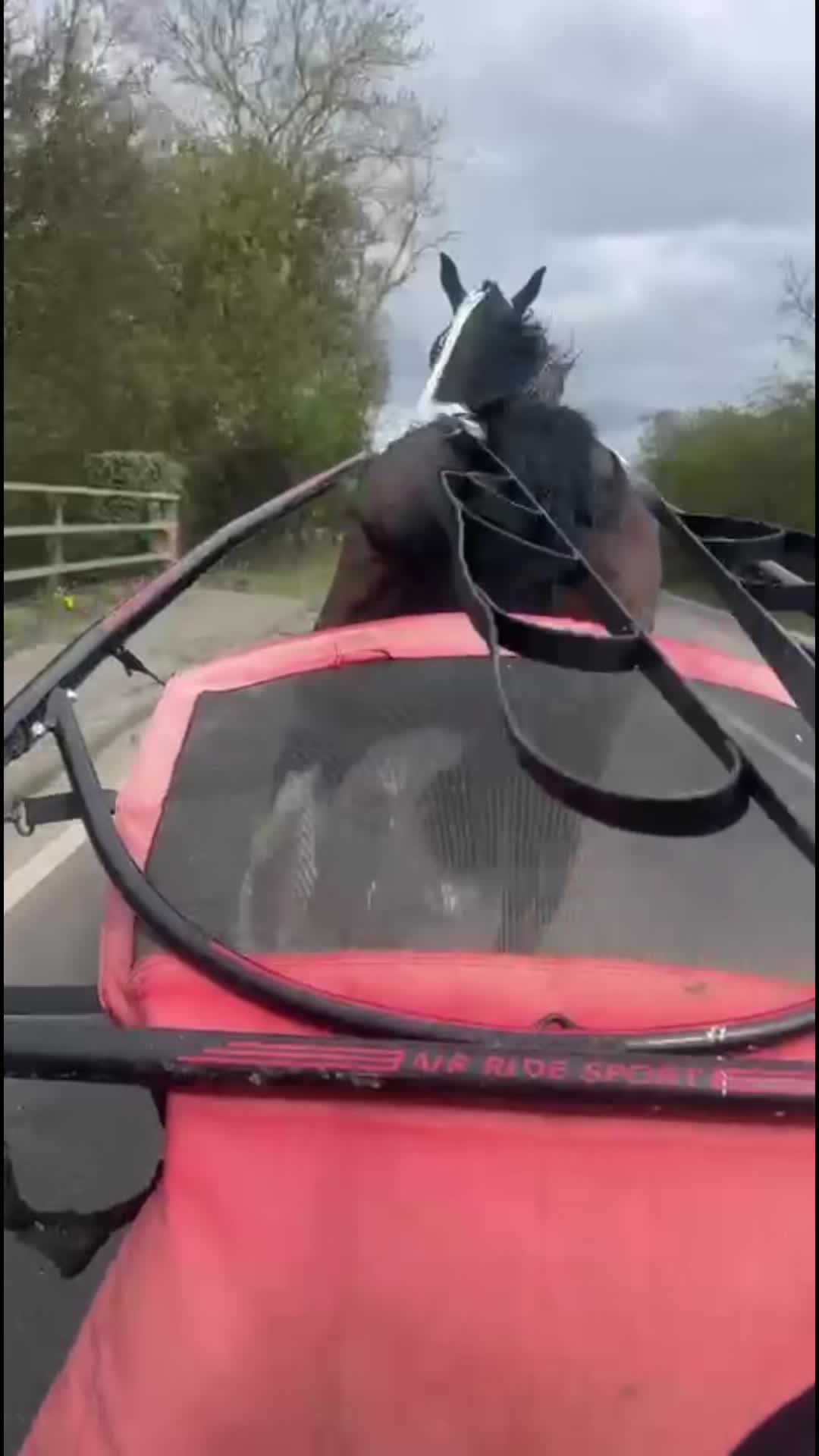@Jack.b