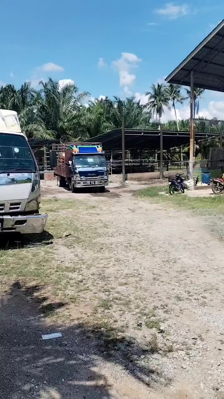 @@m!r🐂🐃🐄
