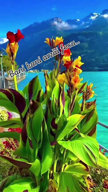 @💫💫Layla 💫💫