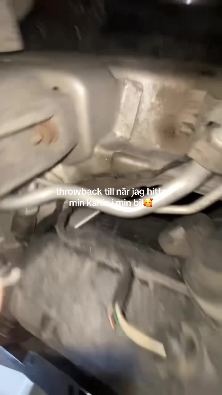 @ellasriktigaspam