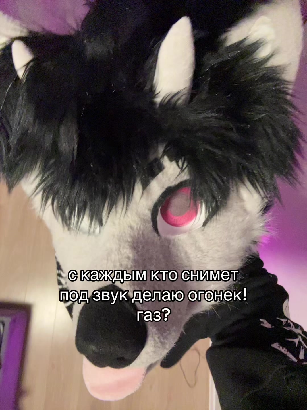 @фыркалко 🐾