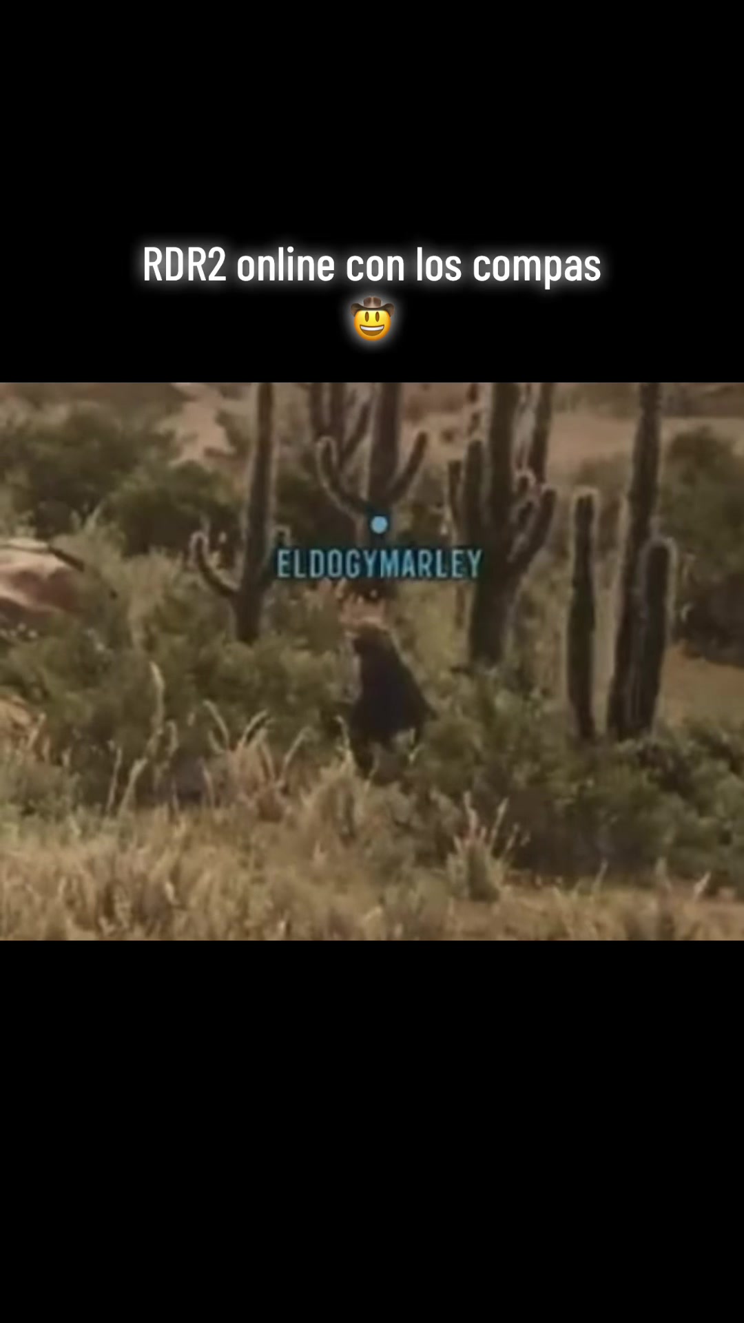 @Landandfreedom