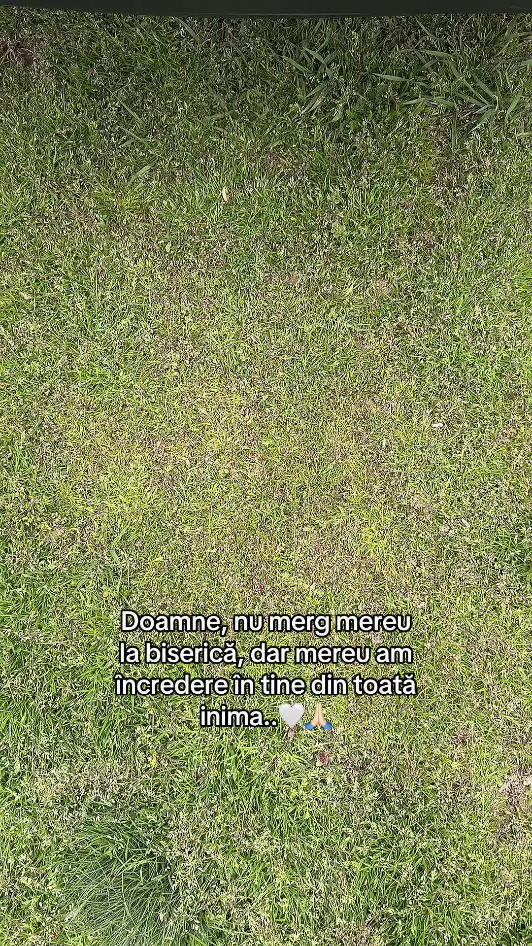 @Mario 💙