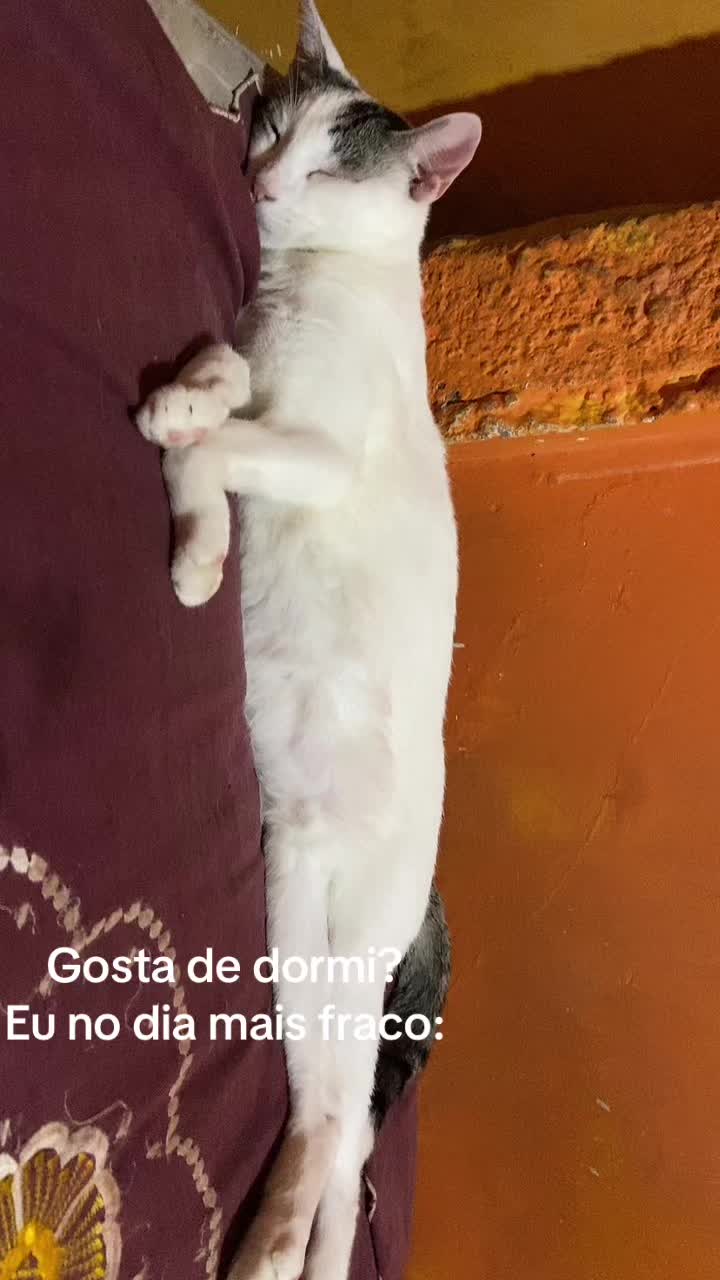 @victoria_atletawellness