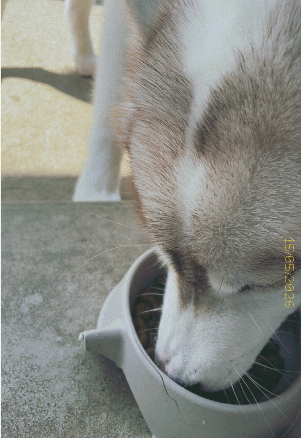 @𝓡𝓲𝓻𝓲愛