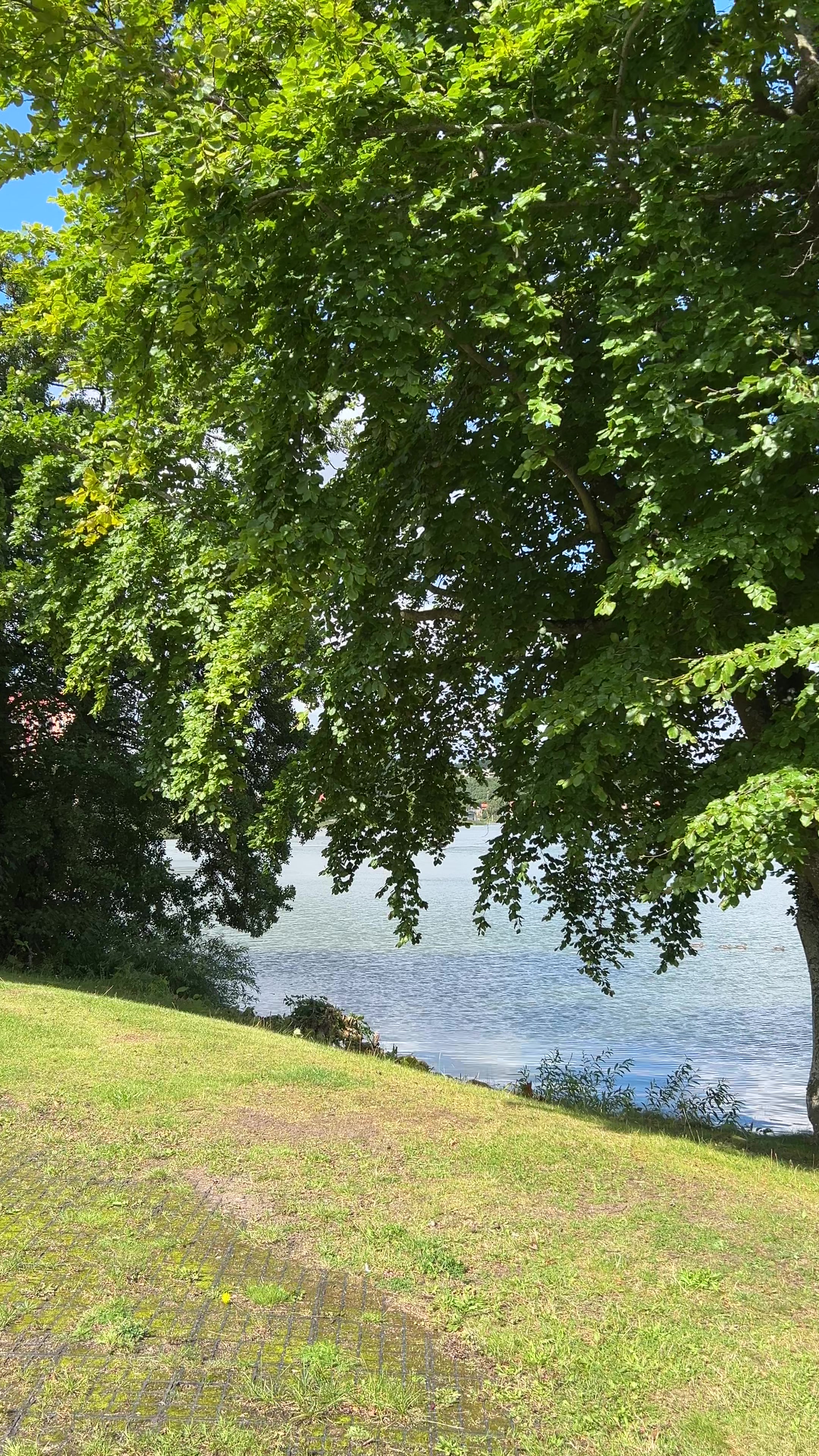 @dk__nature 🇩🇰