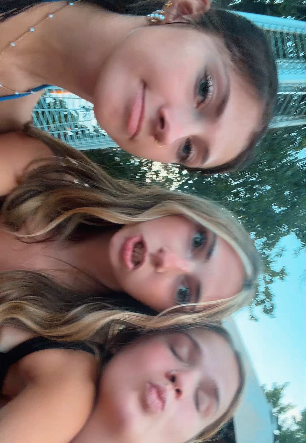 @lex 🦦