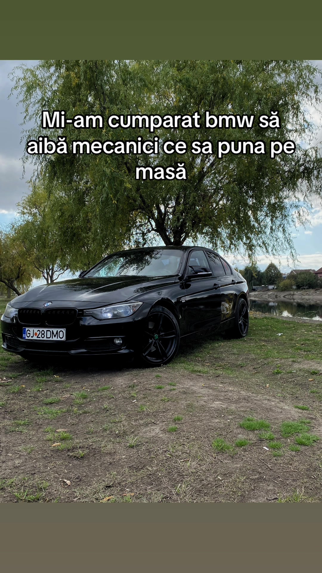 @Dimofte Florin