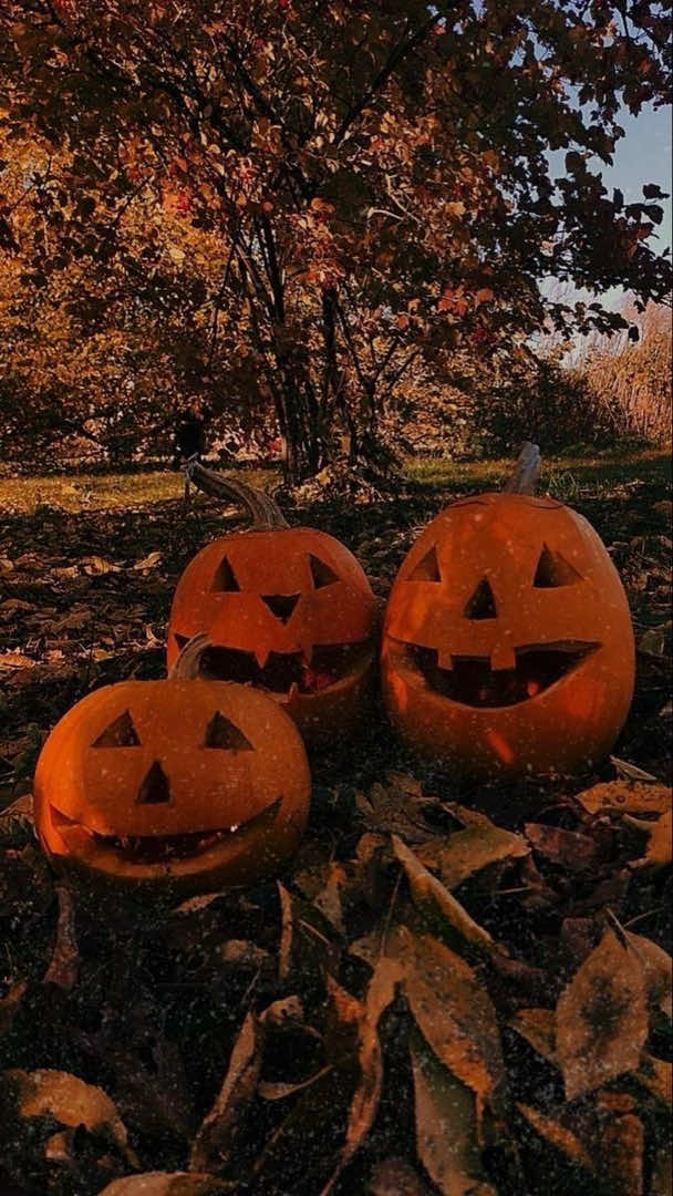 @🎃𝕽𝖆𝖈𝖍𝖊𝖑🦇