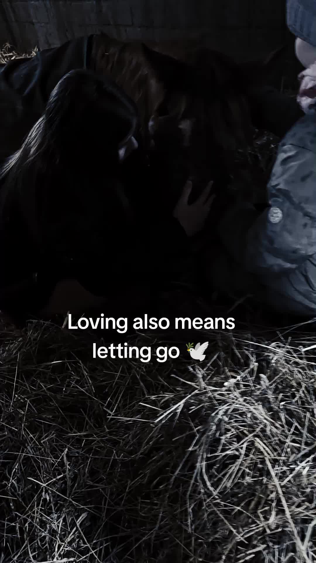 @𖹭❤️🩹𝐀&𝐑❤️🩹𖹭