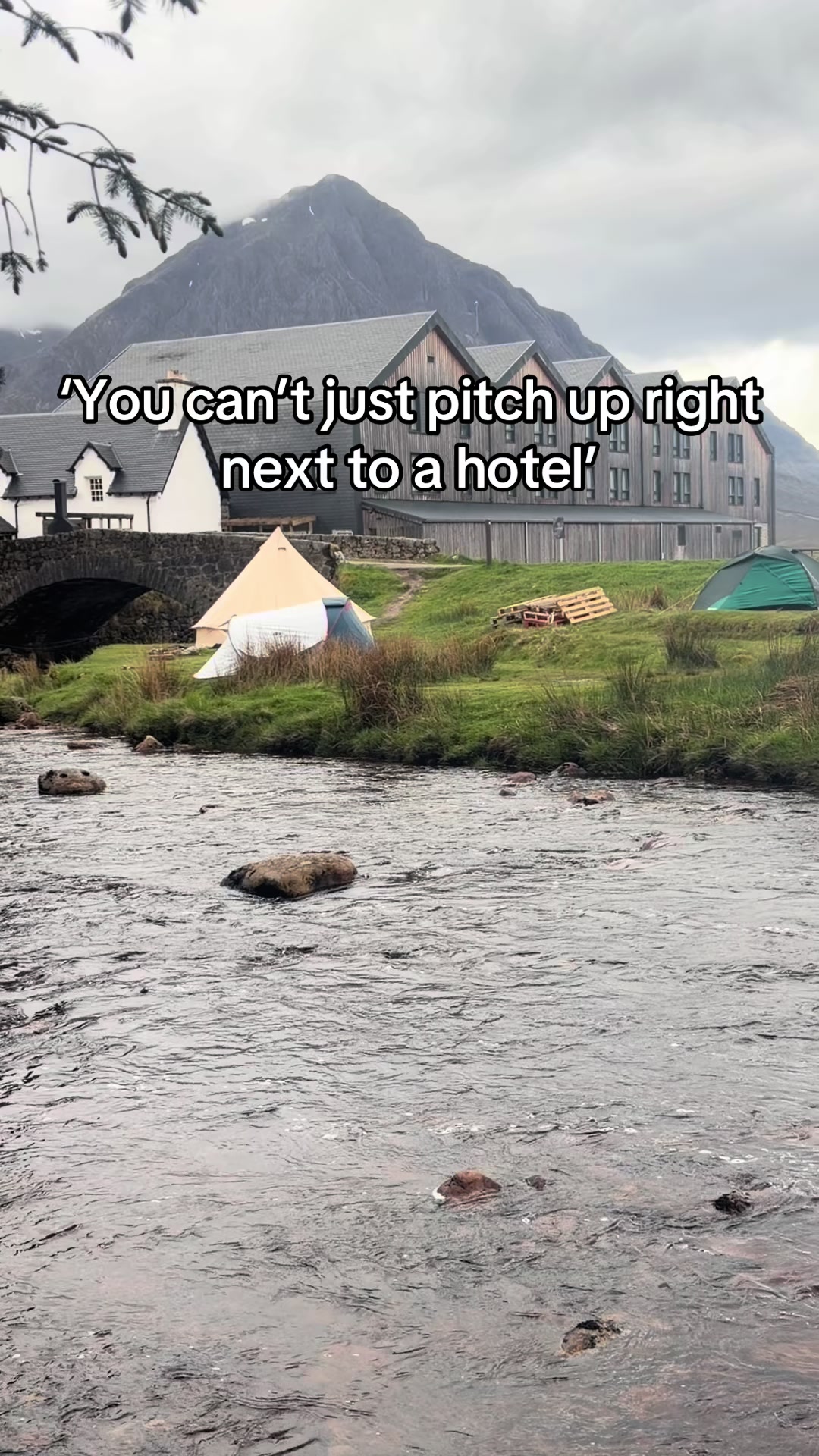 @TedGoneWild⛺️