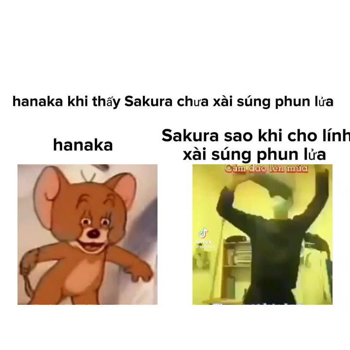 @Sakura_wibu viễn Chinh