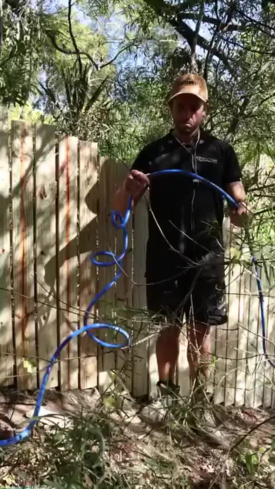 @Tommy 247