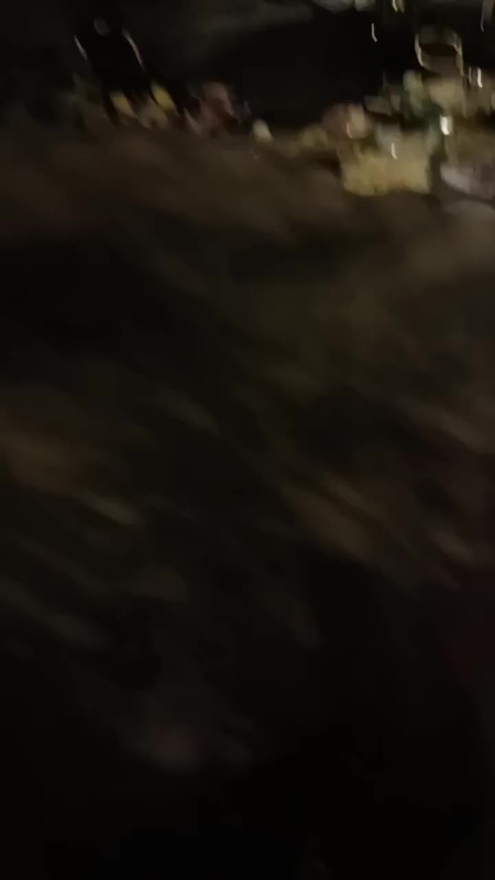 @SilverCipher