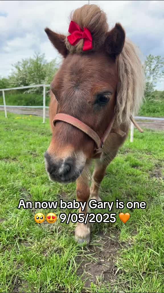 @mrsbroady85🌍teamMarleyMoore🌍