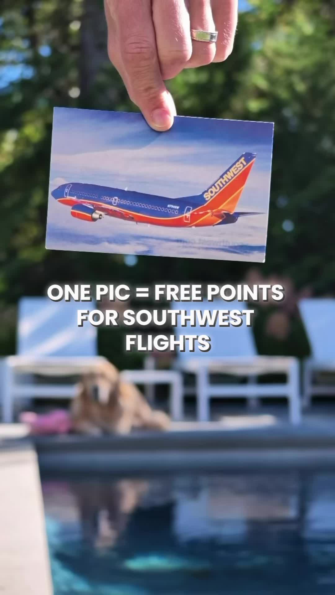 @StatusDan 🛫 Maximizing Travel
